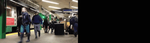 Input stimulus and predicted percept