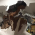 Avatar for SuperSonicSpy1 from gravatar.com