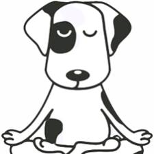Avatar for David Robinson from gravatar.com