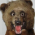 Avatar for layr from gravatar.com