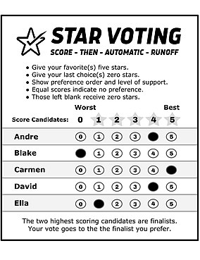 Image of a standard STAR ballot