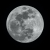 Avatar for rulllet from gravatar.com