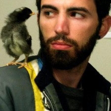 Avatar for adamhajari from gravatar.com