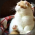 Avatar for zhchang from gravatar.com