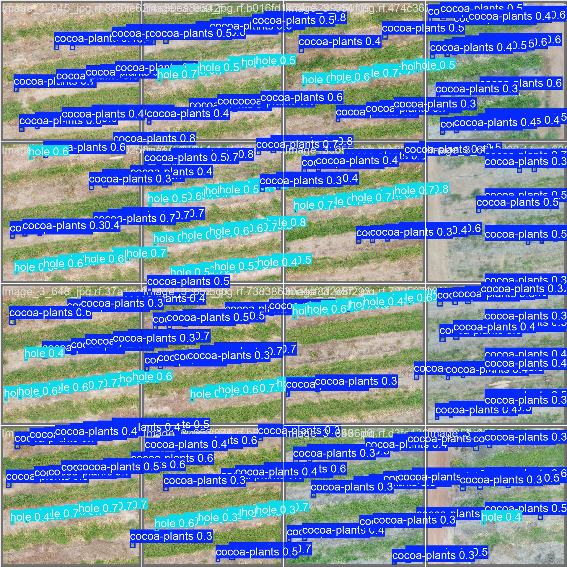 Prediction 1