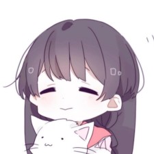 Avatar for adiecho from gravatar.com