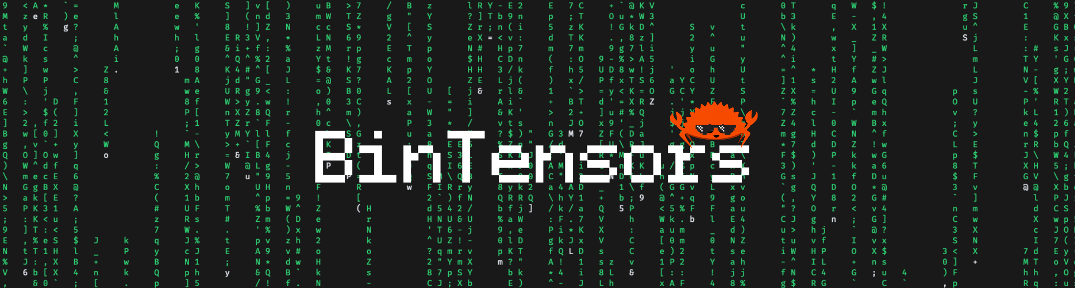 bintensors