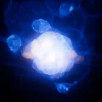 Zebrafish Neuromast — 4D timelapse