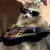 Avatar for LeahYes from gravatar.com
