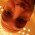 Avatar for scy.py from gravatar.com