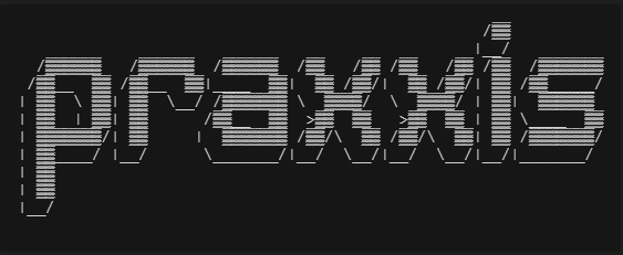 praxxis logo