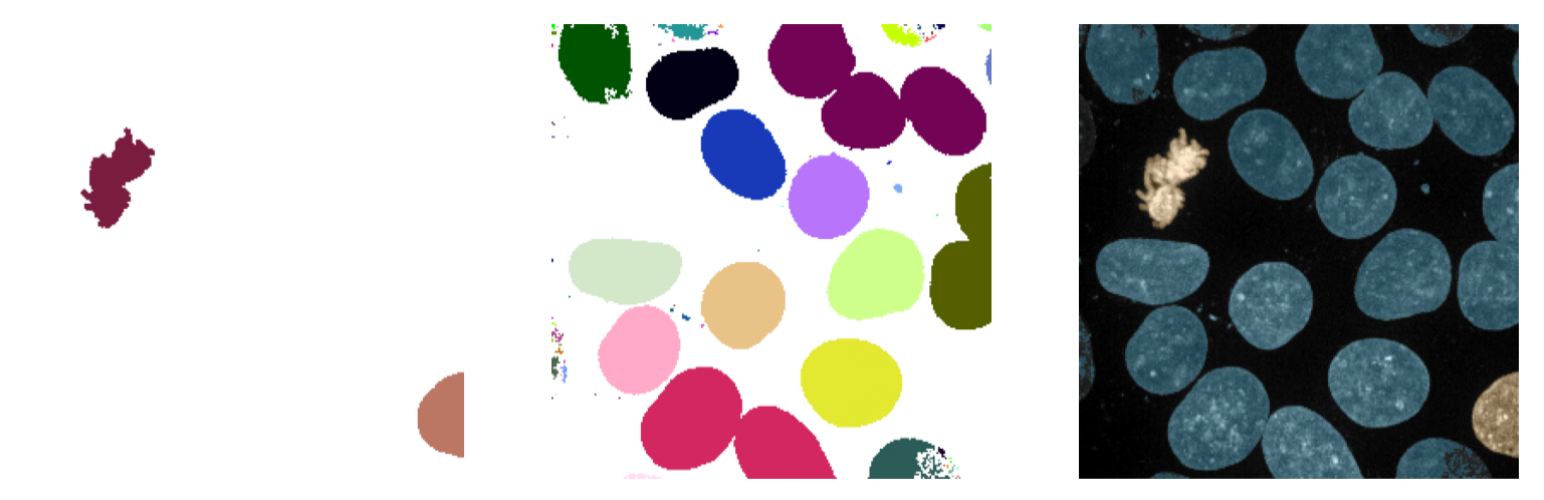 Overlay multiple mask arrays with different colors