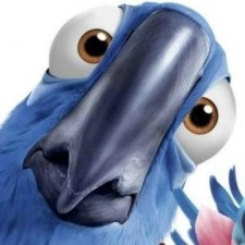 Avatar for Datu from gravatar.com