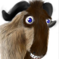 Avatar for Matthieu DUVAL from gravatar.com