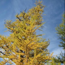 Avatar for tmodrzynski from gravatar.com