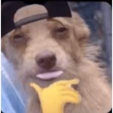 Avatar for jvh from gravatar.com