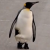 Avatar for striga from gravatar.com
