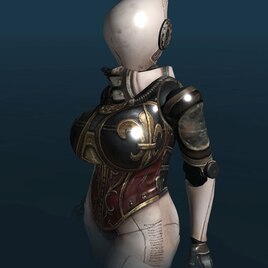Battle Sister Outfit