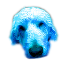 Avatar for Cory Crowley from gravatar.com