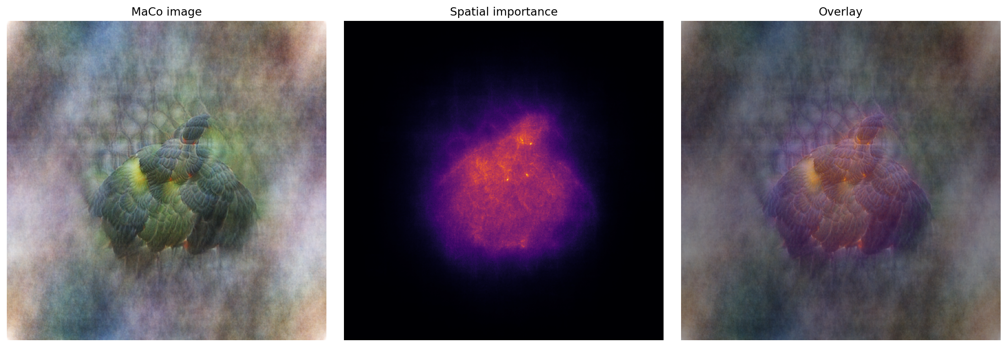 MaCo image, spatial importance and overlay