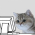 Avatar for butterski from gravatar.com