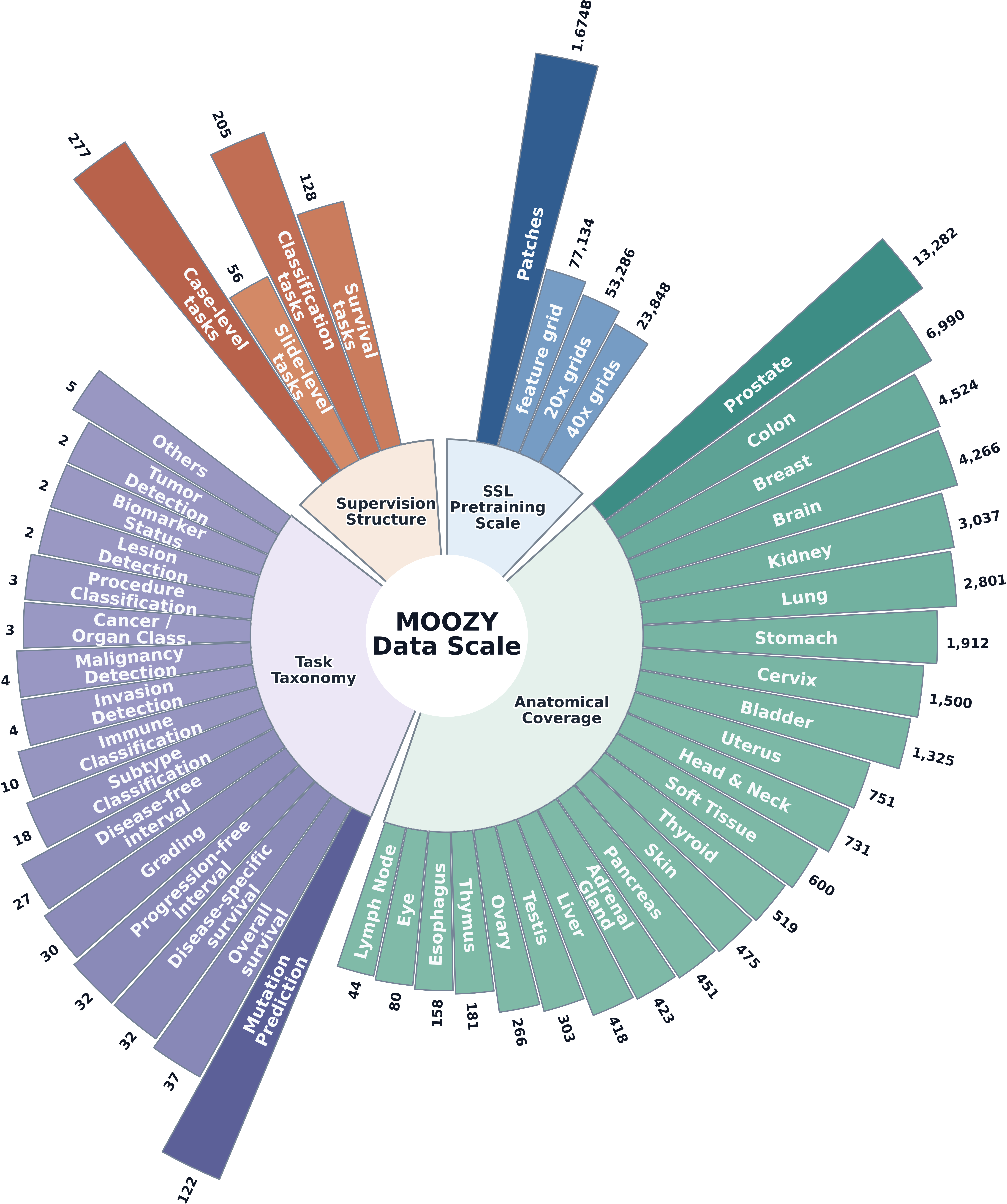 MOOZY: a patient-first foundation model for computational pathology, whole-slide image encoding, and case-level representation learning