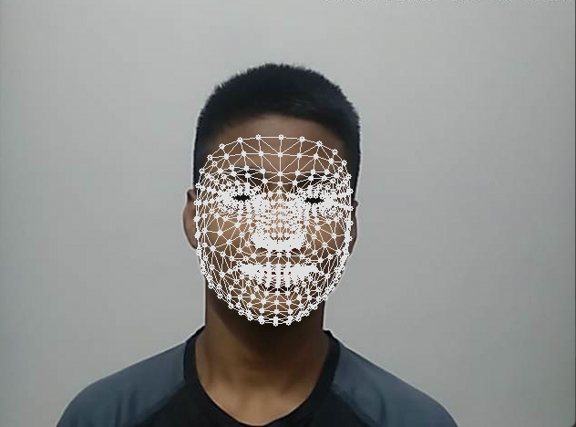 Face Mesh
