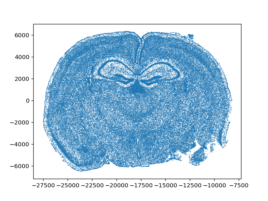 image-20260127061951636