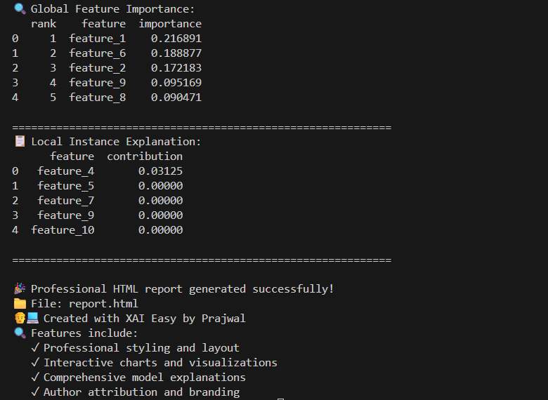 Console Output - Clean, professional terminal output with structured explanations and success confirmation