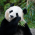 Avatar for WhaleGe from gravatar.com