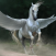 Avatar for Nythepegasus from gravatar.com