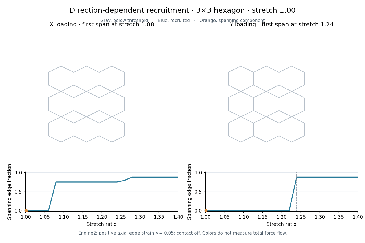 Directional recruitment on a three by three hexagon network