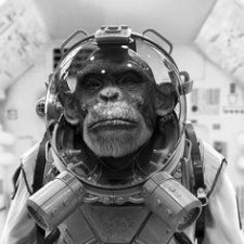 Avatar for Ilya Davydov from gravatar.com