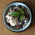 Avatar for Satoshi-Sh from gravatar.com