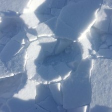 Avatar for Chang Liu from gravatar.com