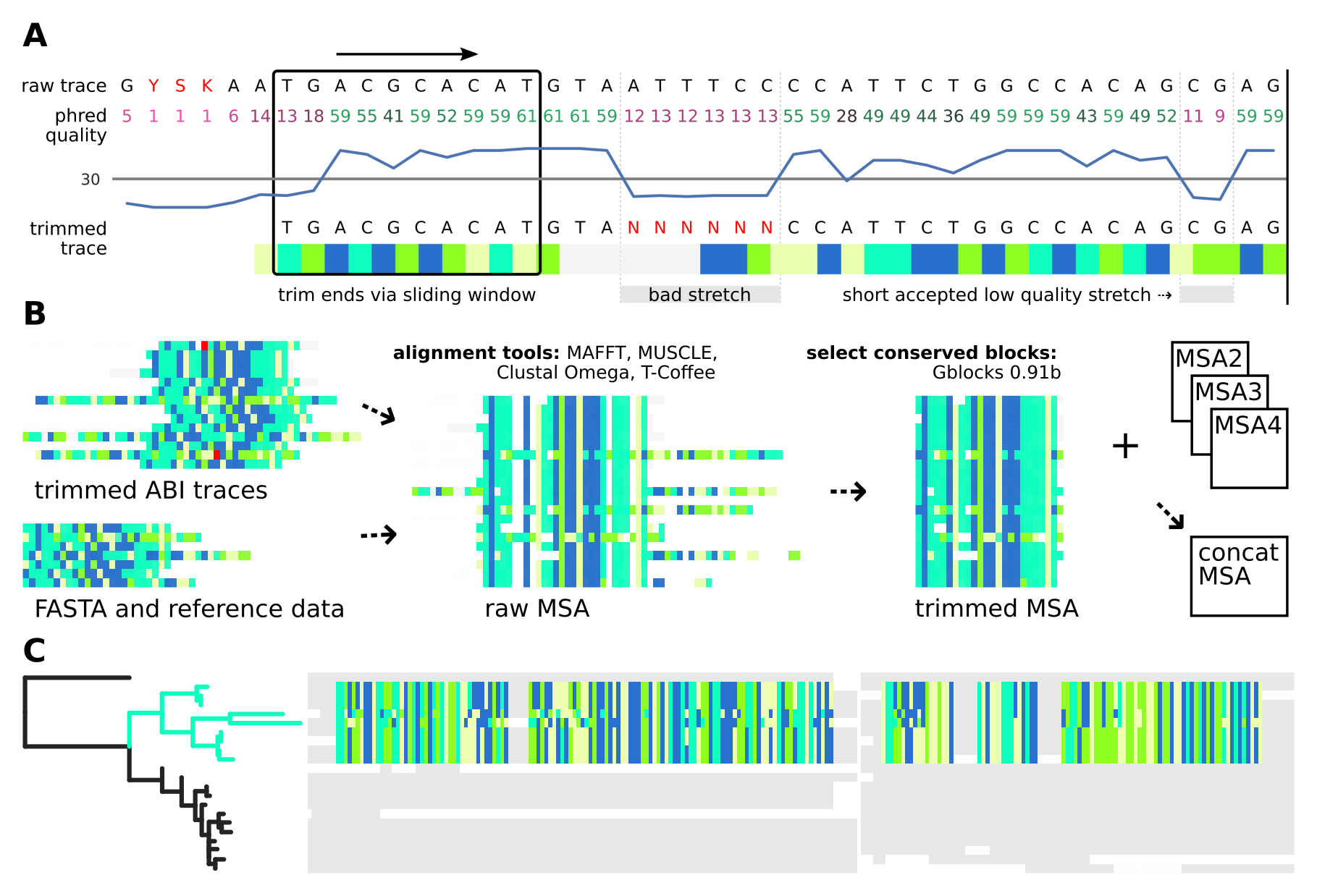 main stages of AB12PHYLO
