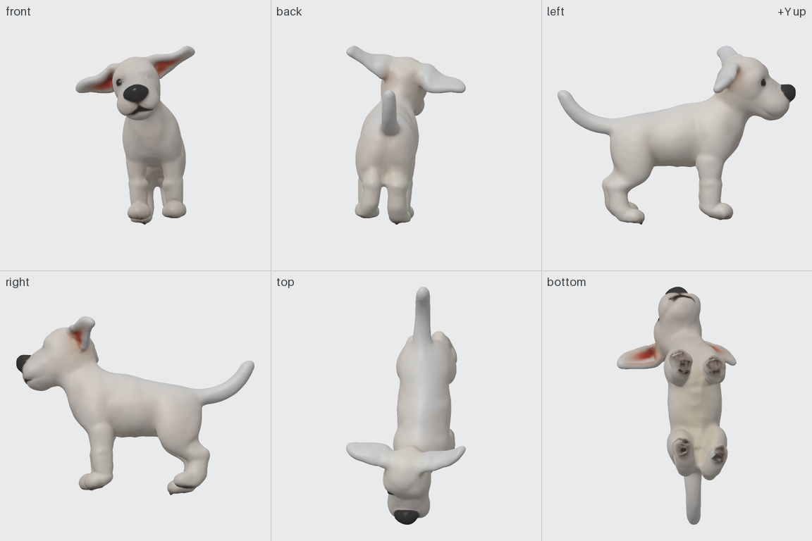 The 3D model of the puppy from the front, back, left, right, top and bottom