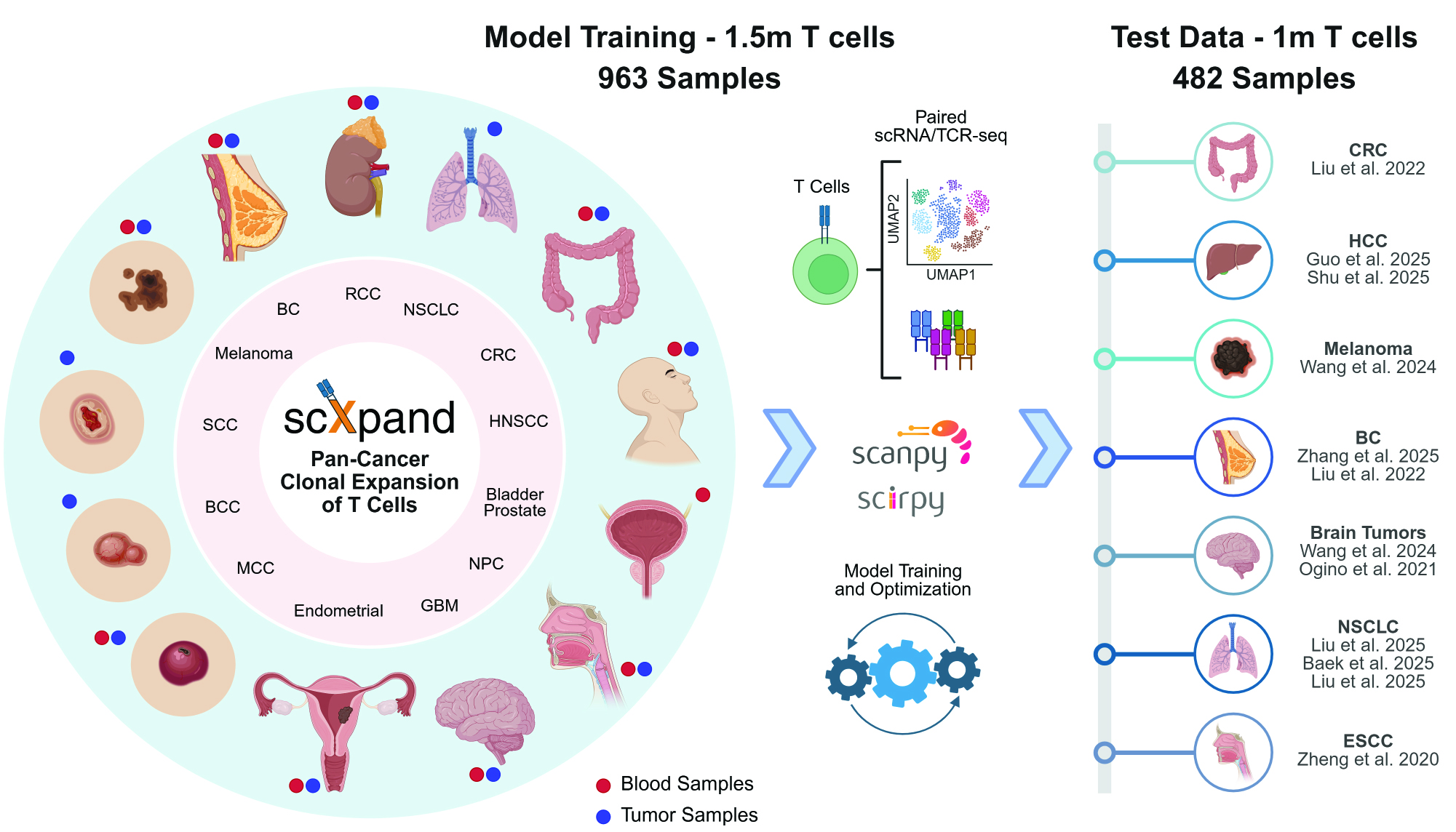 scXpand Datasets Overview