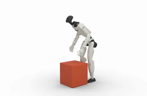Box Carrying