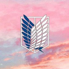 Avatar for aneousion from gravatar.com