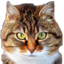 Avatar for BM835 from gravatar.com