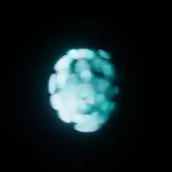 Mouse Blastocyst — multichannel nuclei