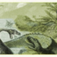 Avatar for YonKuma from gravatar.com