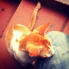 Avatar for shaung from gravatar.com