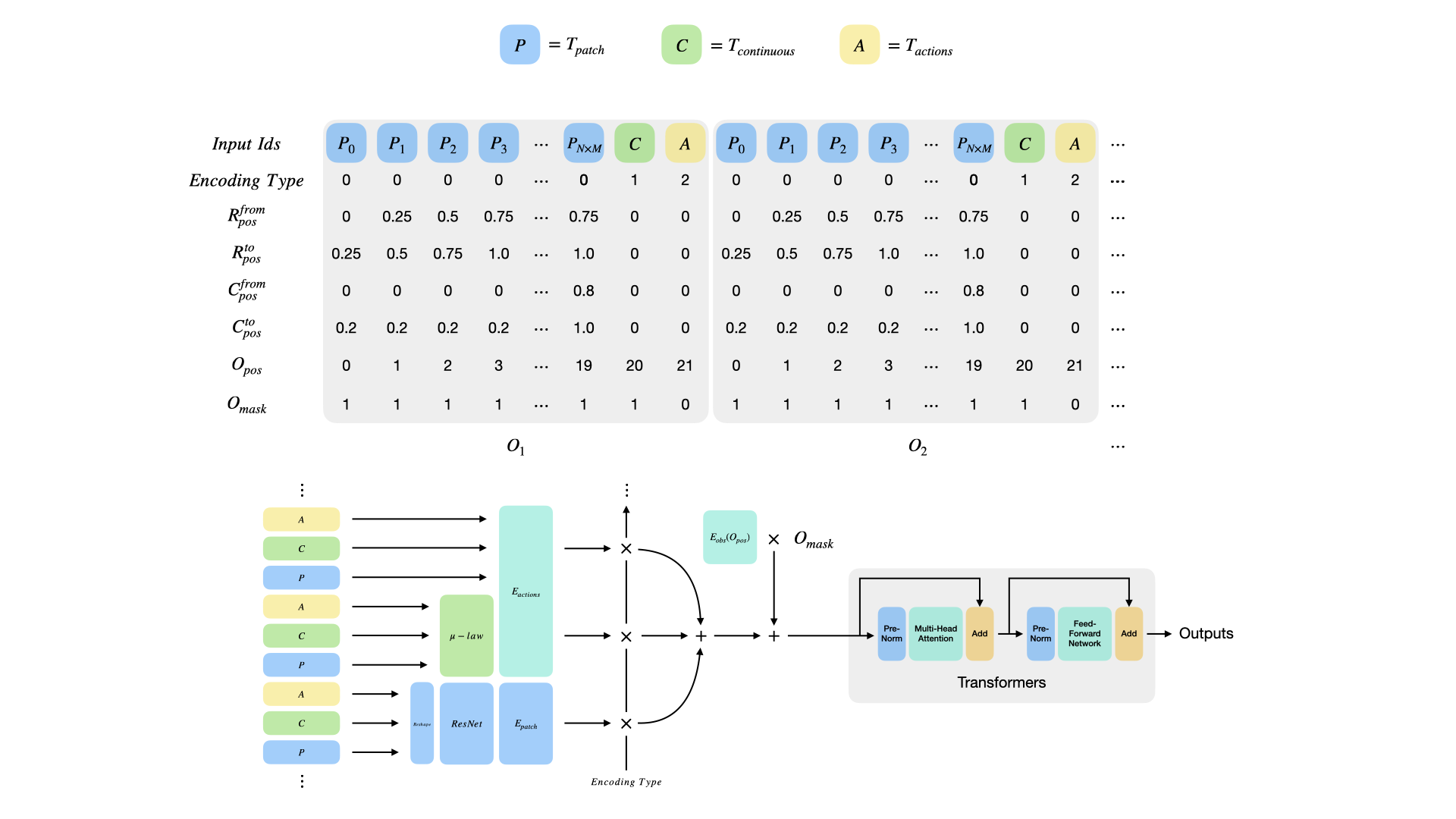 gato dataset and model architecture