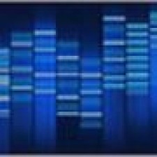 Avatar for Alexander Knorr from gravatar.com