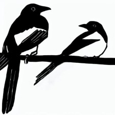 Avatar for Thomas Finnie from gravatar.com