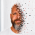 Avatar for robertdevore from gravatar.com