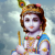 Avatar for dhvanik from gravatar.com