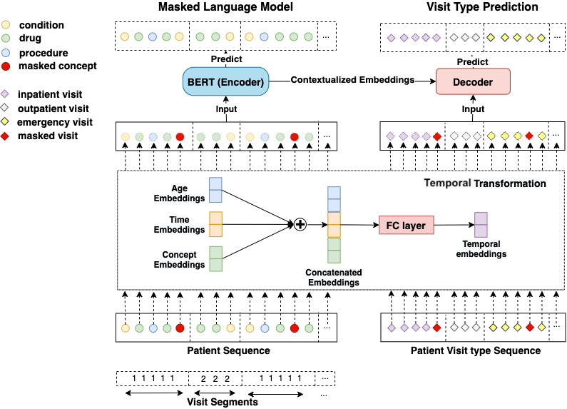 "cehr-bert architecture diagram"